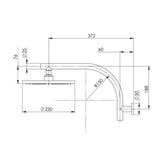 Phoenix Vivid High Rise Shower Arm and Rose